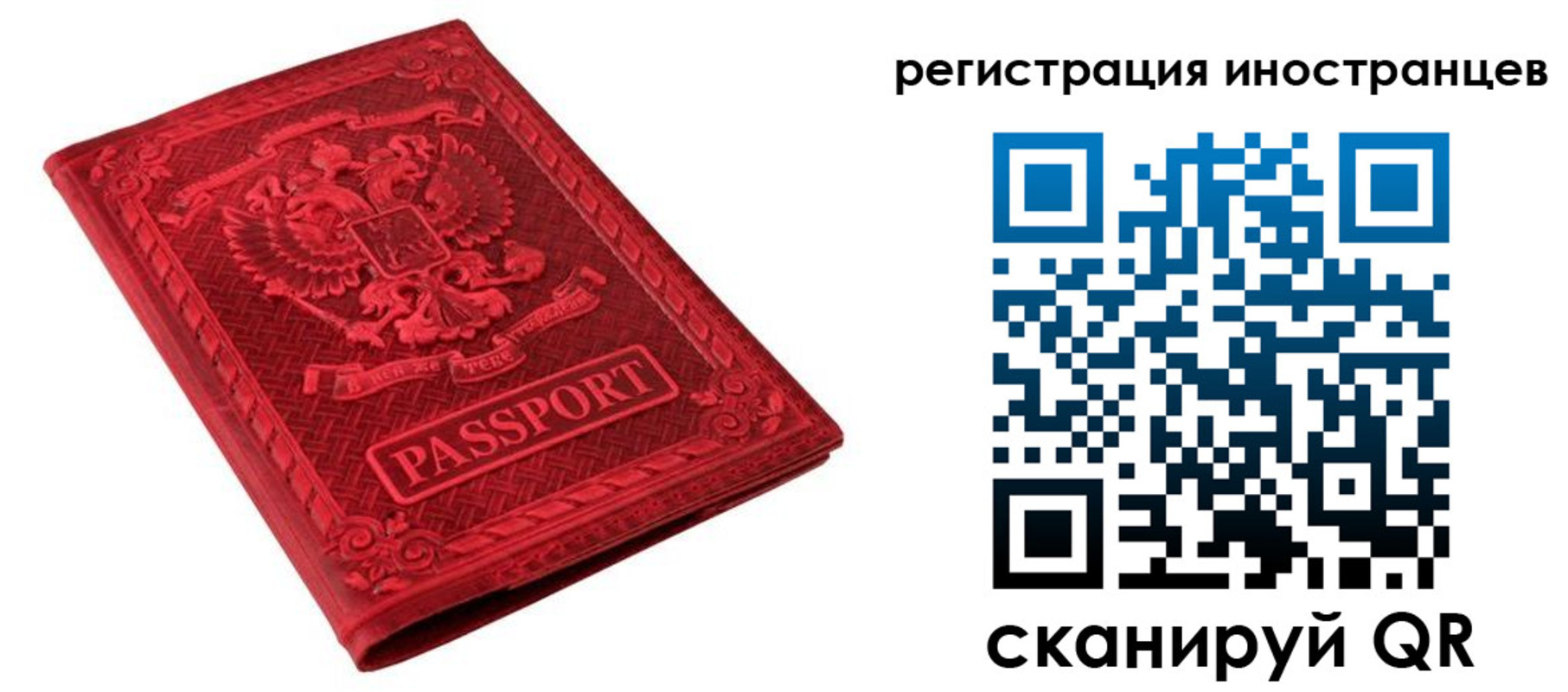 временная регистрация адрес в Оленегорске